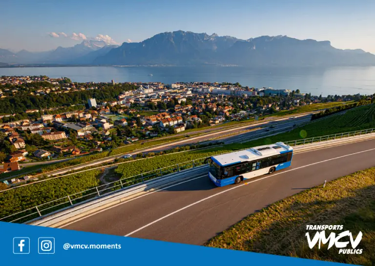 VMCV-1-2_136x97_traits_coupe